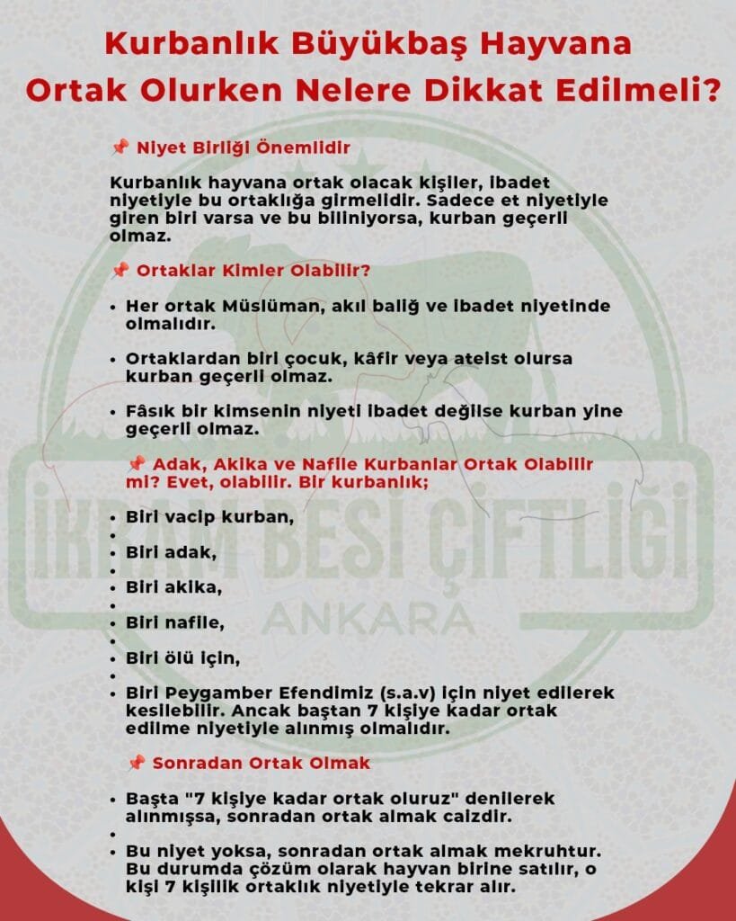 WhatsApp Image 2025-04-07 at 15.07.32